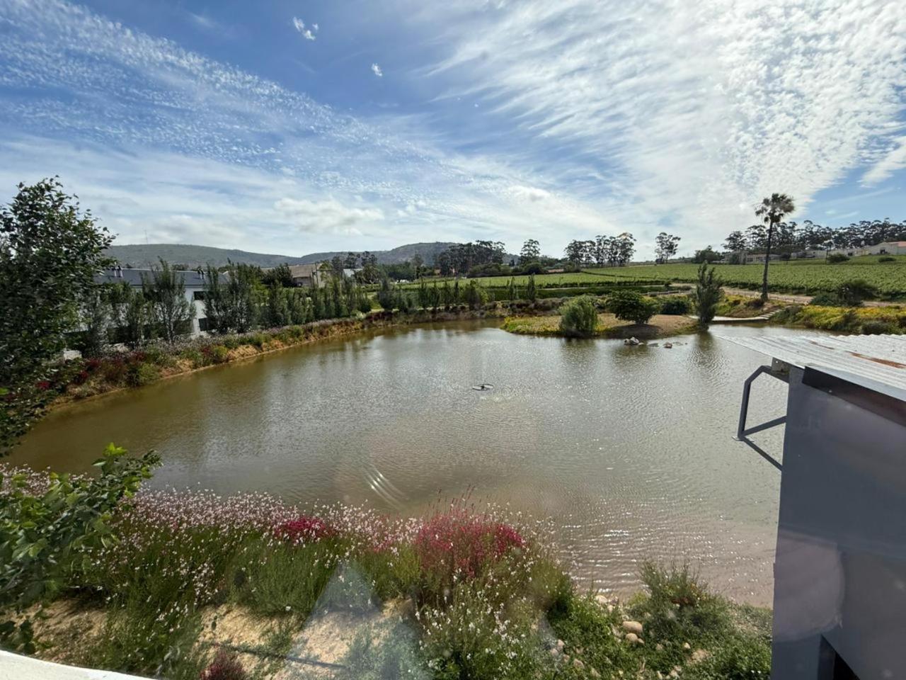 Middelplaas Paarl Guesthouse Εξωτερικό φωτογραφία