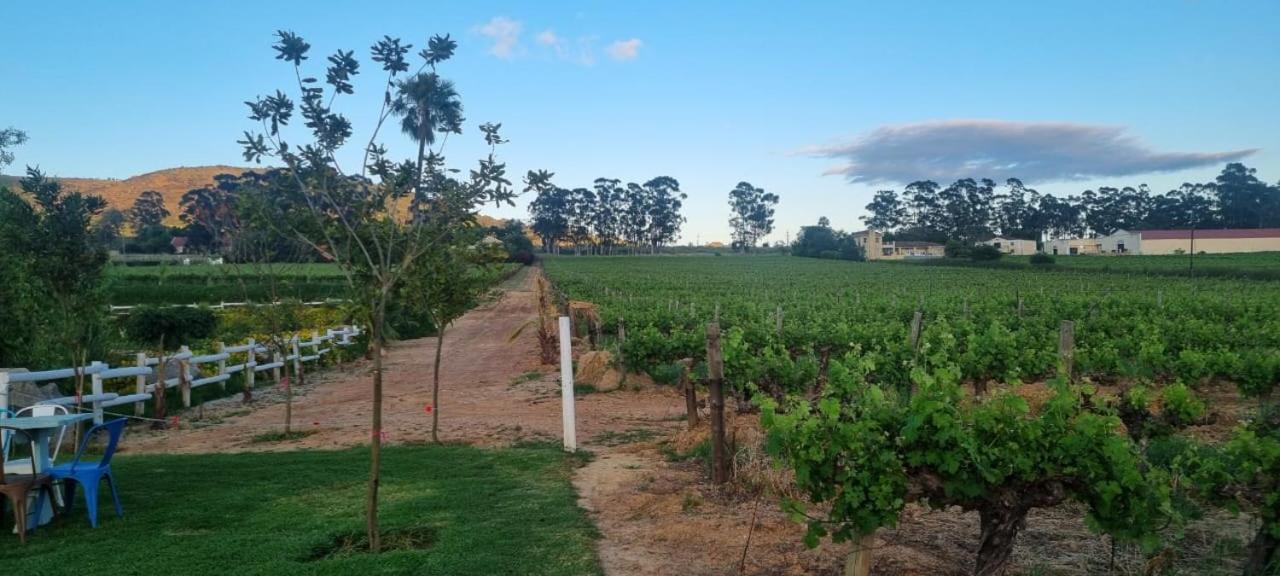 Middelplaas Paarl Guesthouse Εξωτερικό φωτογραφία
