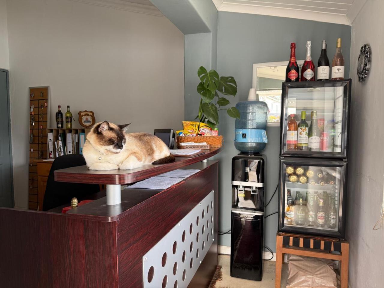 Middelplaas Paarl Guesthouse Εξωτερικό φωτογραφία